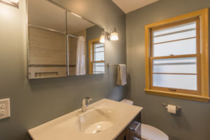 After LR Project 3238-1 Minneapolis Bathroom 3