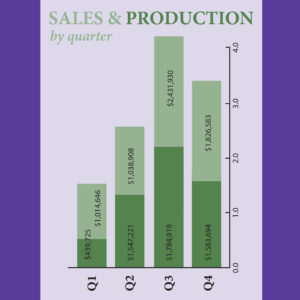 Castle Building & Remodeling, Inc. - Twin Cities Design / Build Firm | Artboard 2July_SM_Infographic2