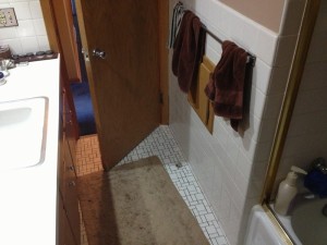 Castle Building & Remodeling, Inc. - Twin Cities Design / Build Firm | Bath Before Remodel  (4)
