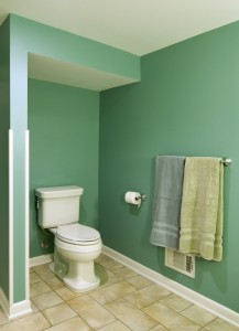 Castle Building & Remodeling, Inc. - Twin Cities Design / Build Firm | View of Bathroom in Basement Remodel