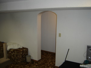 Castle Building & Remodeling, Inc. - Twin Cities Design / Build Firm | Basement before remodel