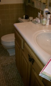 Castle Building & Remodeling, Inc. - Twin Cities Design / Build Firm | Before Master Suite Bathroom Remodel