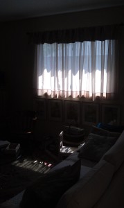 Castle Building & Remodeling, Inc. - Twin Cities Design / Build Firm | Living Room Window Before Remodel