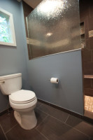 Master bath shower wall and toilet