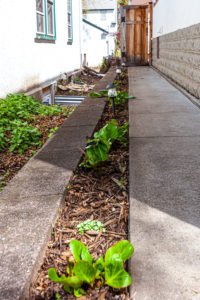 Project 2978-2 Front Porch Remodel Makeover + Landscaping St. Paul 55105 LR 1