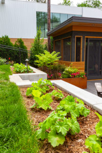 Castle Building & Remodeling, Inc. - Twin Cities Design / Build Firm | Project Project 3419-1 Backyard Living Area Screen Porch Deck Bar LR 30