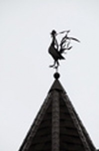 Castle Building & Remodeling, Inc. - Twin Cities Design / Build Firm | Rooster on turret exteriors8