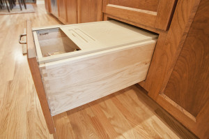Castle Building & Remodeling, Inc. - Twin Cities Design / Build Firm | View of Kitchen Pullout in Whole House Remodel