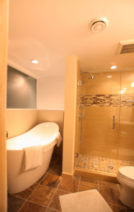 Castle Building & Remodeling, Inc. - Twin Cities Design / Build Firm | Shower and tub