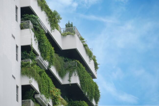 Castle Building & Remodeling, Inc. - Twin Cities Design / Build Firm | Transforming Your Balcony or Rooftop with Urban Gardening (3)
