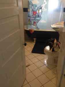 Castle Building & Remodeling, Inc. - Twin Cities Design / Build Firm | Before Bathroom Remodel