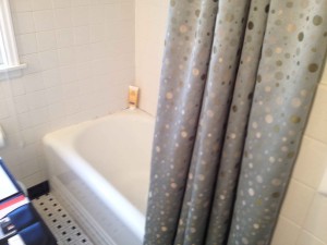 Castle Building & Remodeling, Inc. - Twin Cities Design / Build Firm | Before Bathroom Remodel